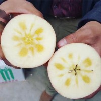 順豐快遞新疆阿克蘇冰糖心蘋(píng)果應(yīng)季水果脆甜紅富士一件代發(fā)