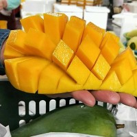 【大青芒】越南大青芒 新鮮芒果5斤青皮甜心芒果芒果批發代發