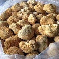 猴頭菇干貨廠家直供剪腳猴菇散裝批發 古田食用菌