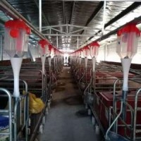 廠家直銷(xiāo)全自動(dòng)料線喂料系統(tǒng)豬用定量器簡(jiǎn)易料箱加厚鍍鋅板轉(zhuǎn)角