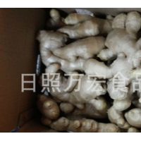 生產(chǎn)工廠供應出口生姜，風干姜，保鮮姜。