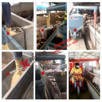 湖南自動(dòng)化養(yǎng)豬設(shè)備 電動(dòng)喂料車(chē) 養(yǎng)豬場(chǎng)喂料機(jī) 興達(dá)牧機(jī)