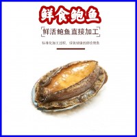 【工廠現(xiàn)貨批發(fā)】大連鮮食鮑魚 可除膜 黃金鮑 貨源充足電商專供