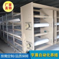 養雞設備廠家肉雞籠 自動化養殖設備肉雞籠 養雞設備肉雞籠