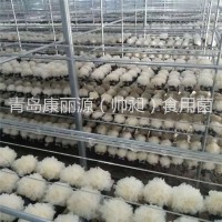 青島康麗源出口銀耳菌棒，銀耳菌包（日本雪耳）