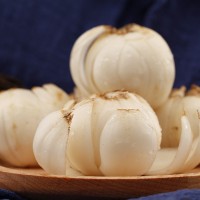 【原產地批發(fā)】云利源甘肅蘭州可食用的新鮮甜百合一斤16顆小百合