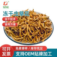 廠家供應蟲草花凍干蟲草花產(chǎn)地貨源直銷