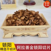 鎖陽片 帶皮干切片 優(yōu)質內蒙古阿拉善金鎖陽 大漠雙雄中藥材 包郵