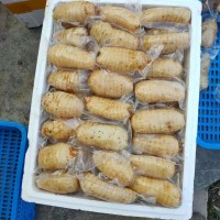 鮮天麻真空保鮮天麻一個(gè)一袋，酒店冰鎮(zhèn)天麻片，天麻食材長年供應(yīng)