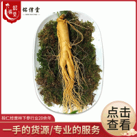 批發零售東北特產保鮮人參 長白山密封保鮮多年人參 泡酒參直銷