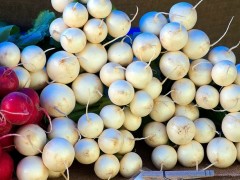 種植白蘿卜如何進行土肥管理，管理要點都有哪些？